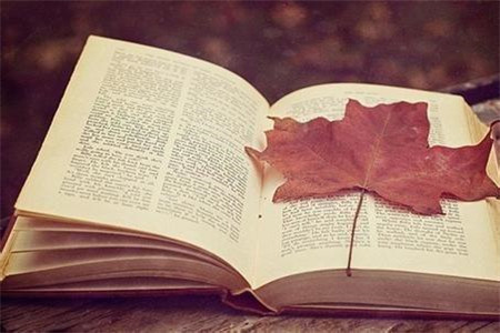 吉林中学教师资格证照片要求是？